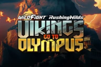 Vikings Go To Olympus Wild Fight